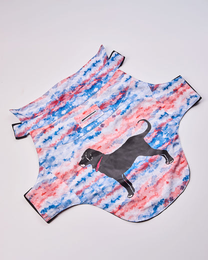 Black Dog Americana Dog Tee