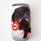 Black Dog Beer Can Dog Toy