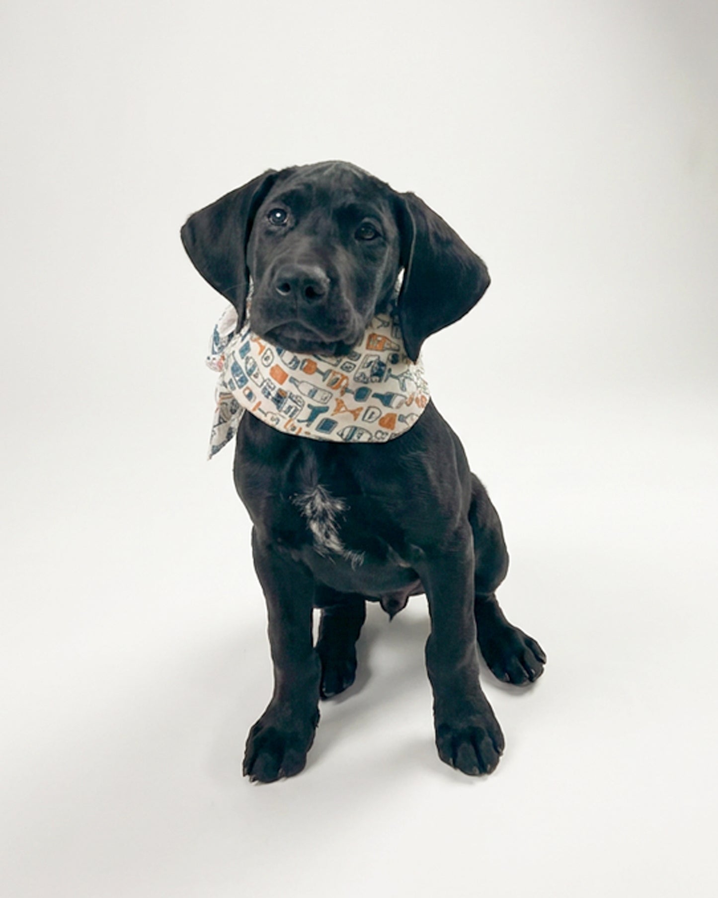 First Mate Novelty Dog Bandana