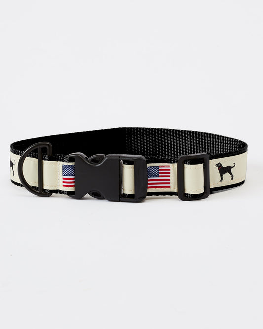 USA DOG COLLAR