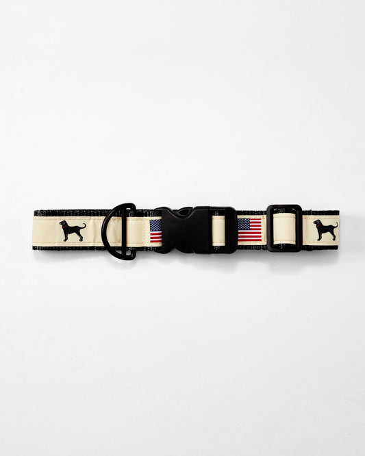 USA DOG COLLAR