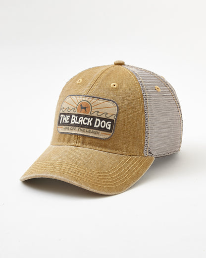 Adult Dashboard Adjustable Hat