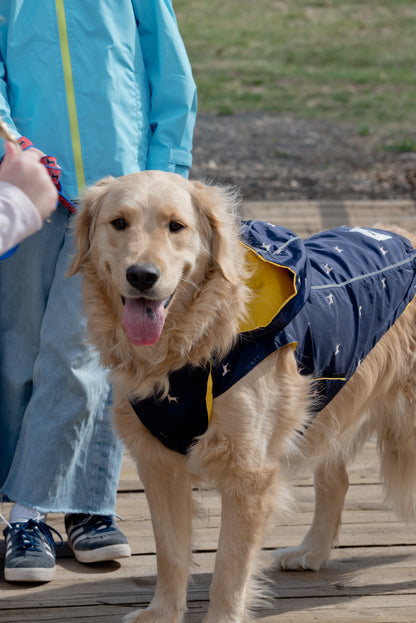 Reversible Dog Raincoat