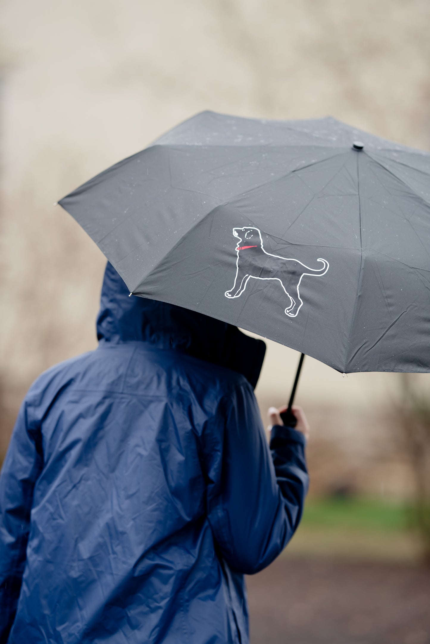 Black Dog Packable Umbrella
