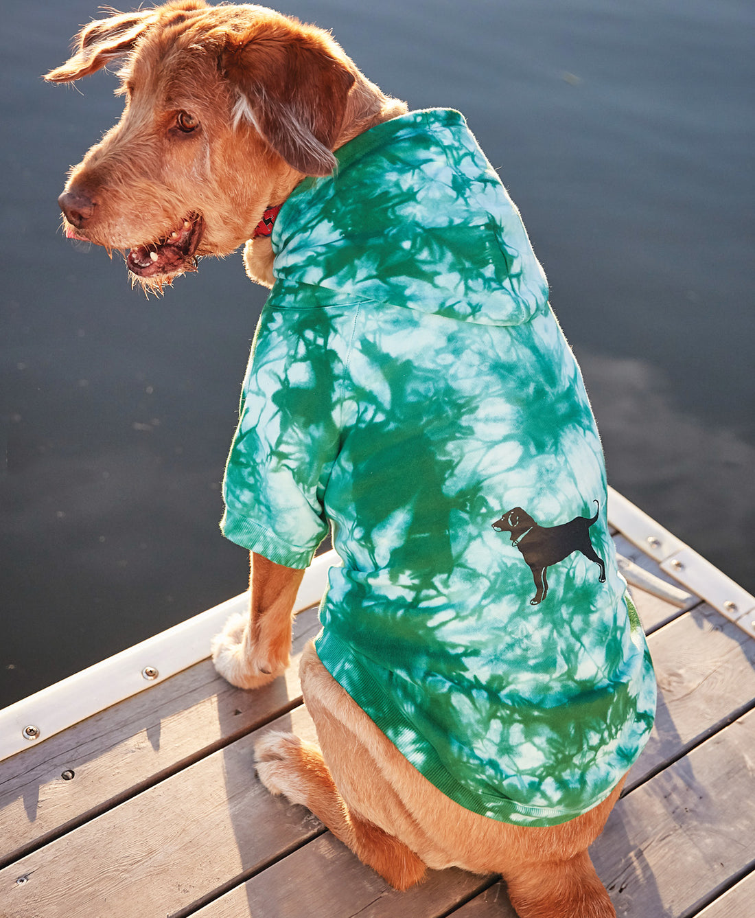 Classic Sweatshirt for Dogs The Black Dog