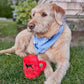 Black Dog Fleece Classic Mug Toy