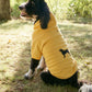 Classic Sweatshirt for Dogs