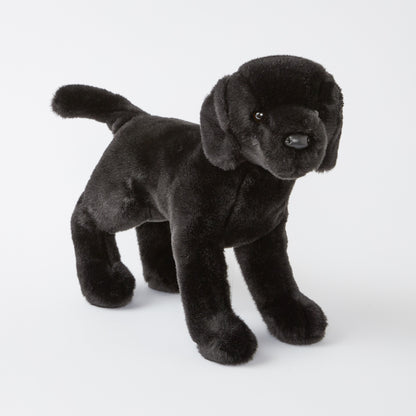 *Chester the Black Lab