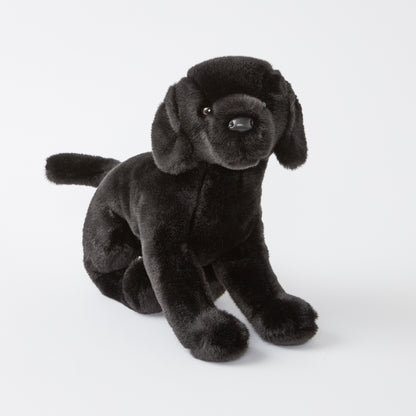 Chester the Black Lab