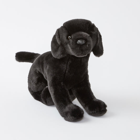 *Chester the Black Lab
