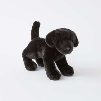 Brewster the Black Lab