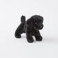 Hattie the Mini Black Lab