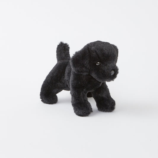 Hattie the Mini Black Lab