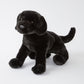 James the Black Lab