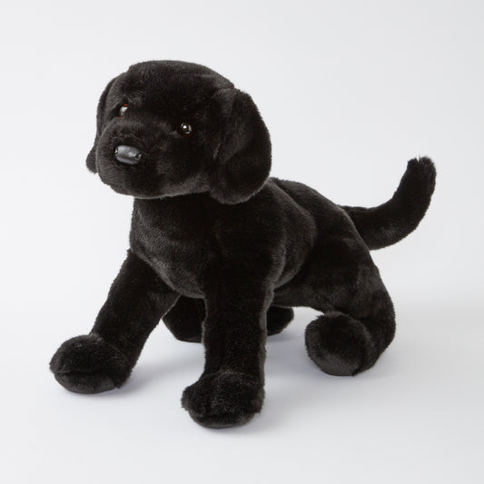 James the Black Lab