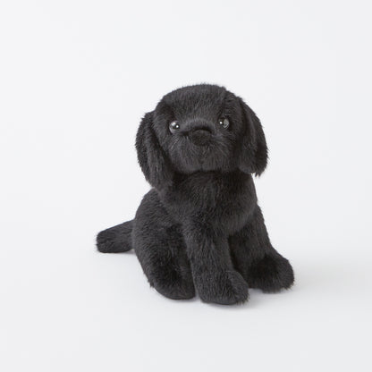 Mini Black Lab