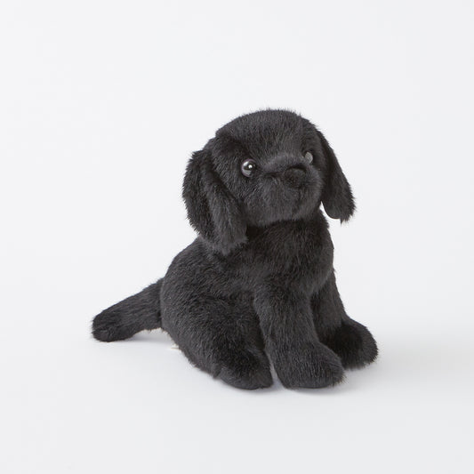 Mini Black Lab