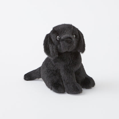 Mini Black Lab