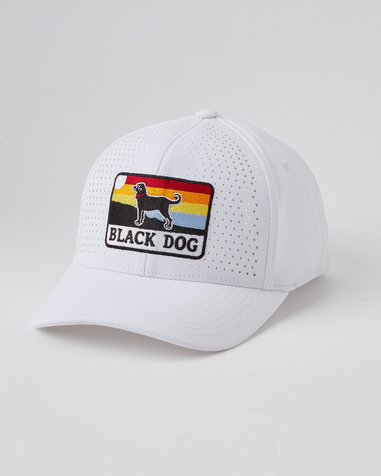 Black Dog Sunny Patch Hat