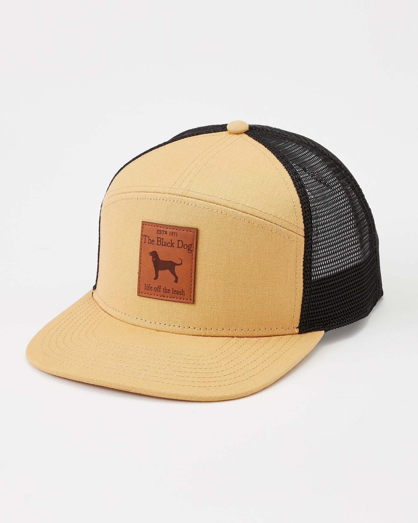 Adult Gold Hopback Hat