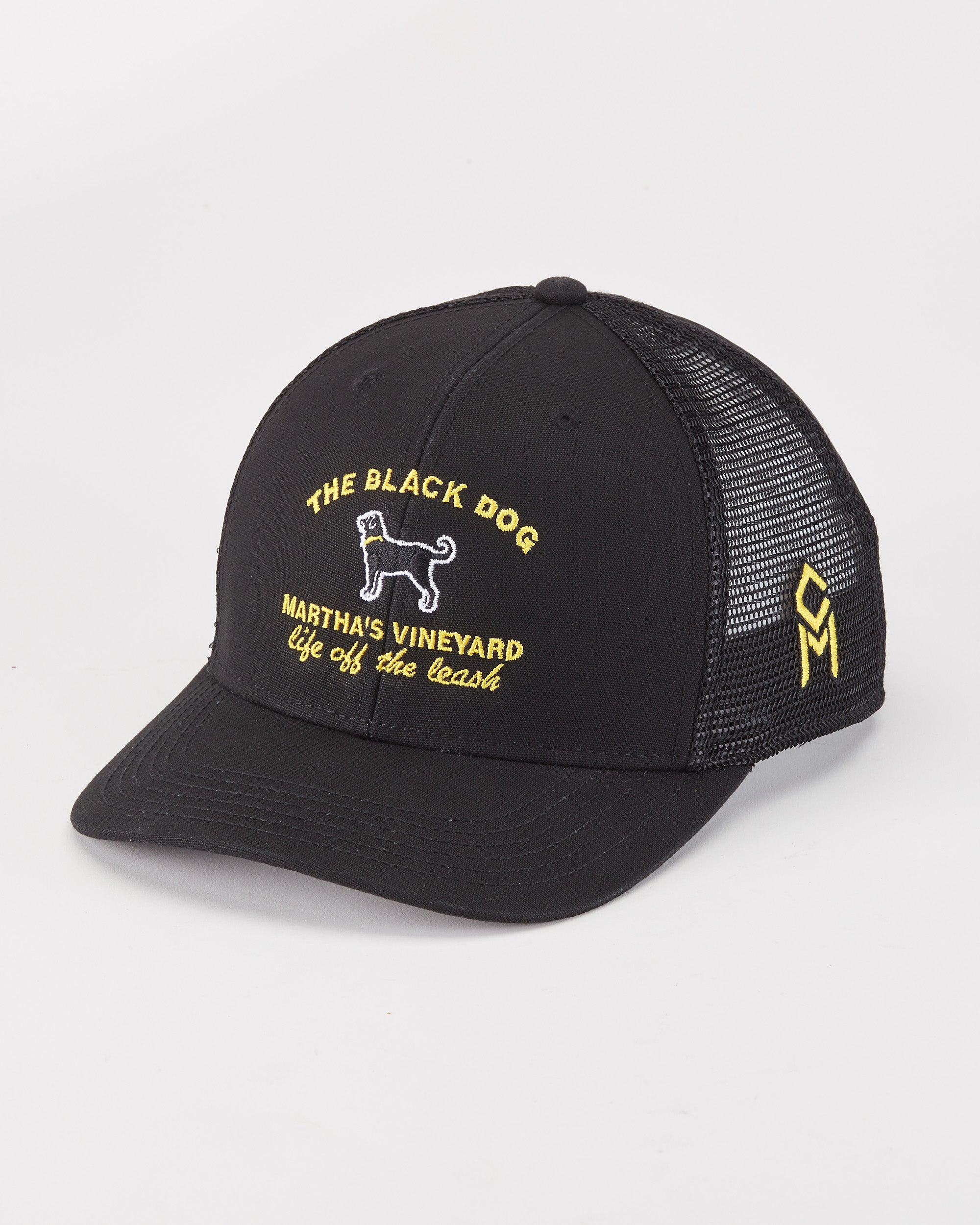 Black dog bruins hat online