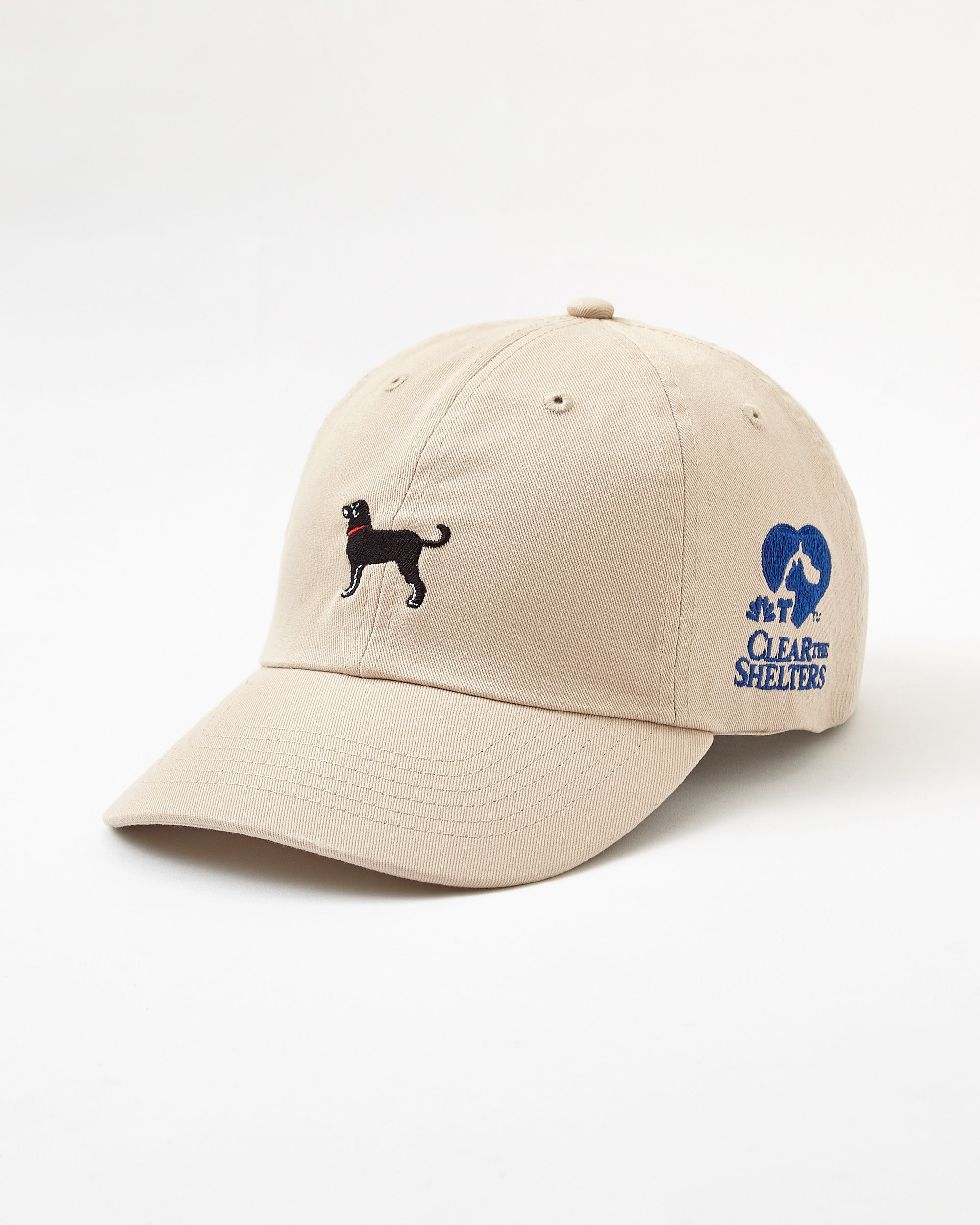 The Black Dog ブラックキャップ 90s Black Dog ブラックドッグ ブランド ドッグ 犬 6panel