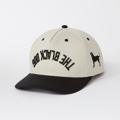 Hunch Upside Down Script Hat