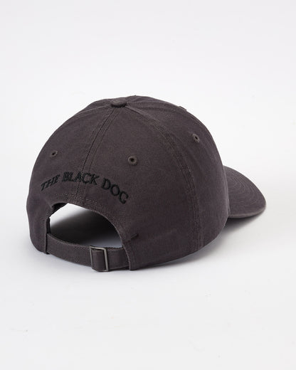 Classic Twill Hat