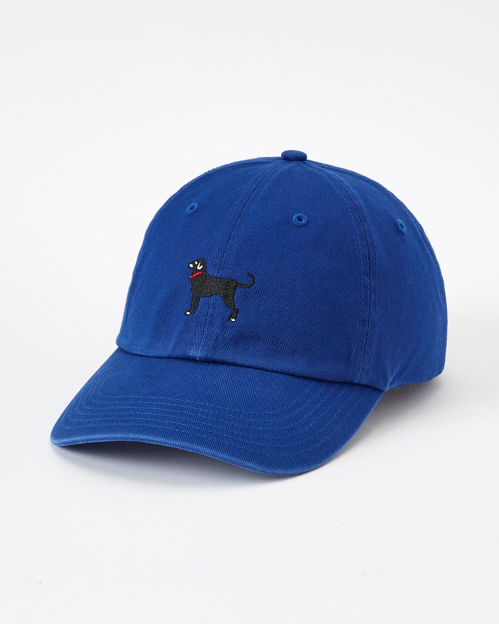 Classic Twill Hat
