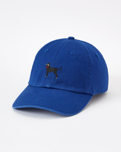 Classic Twill Hat