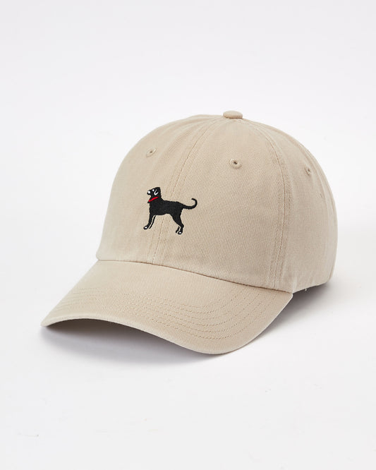 Classic Twill Hat