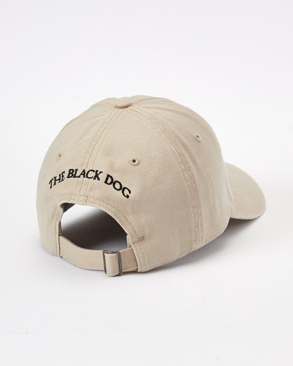 Classic Twill Hat