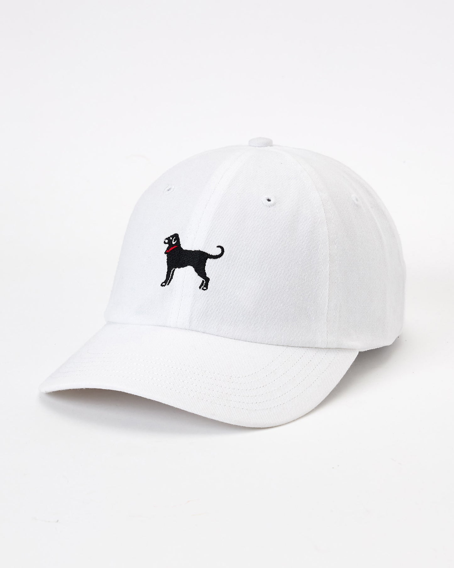 Classic Twill Hat