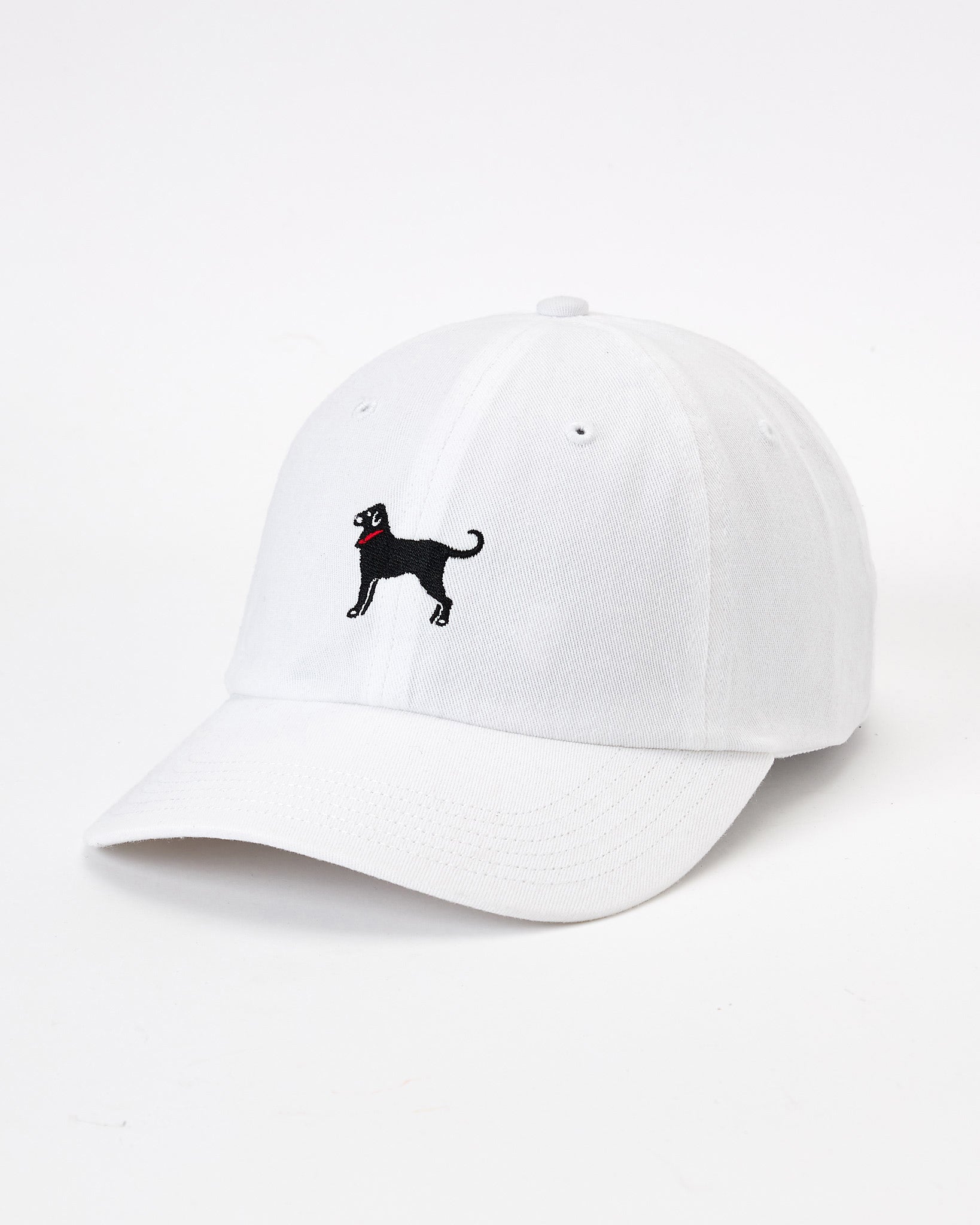Classic Twill Hat