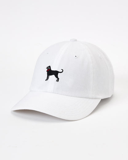 Classic Twill Hat