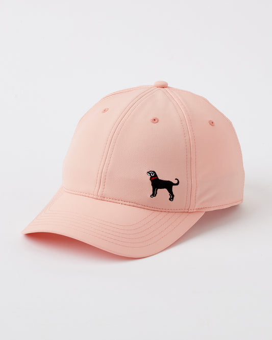 Adult Side Dog Baseball Hat