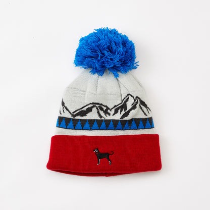 Kids Pom Icon Hat