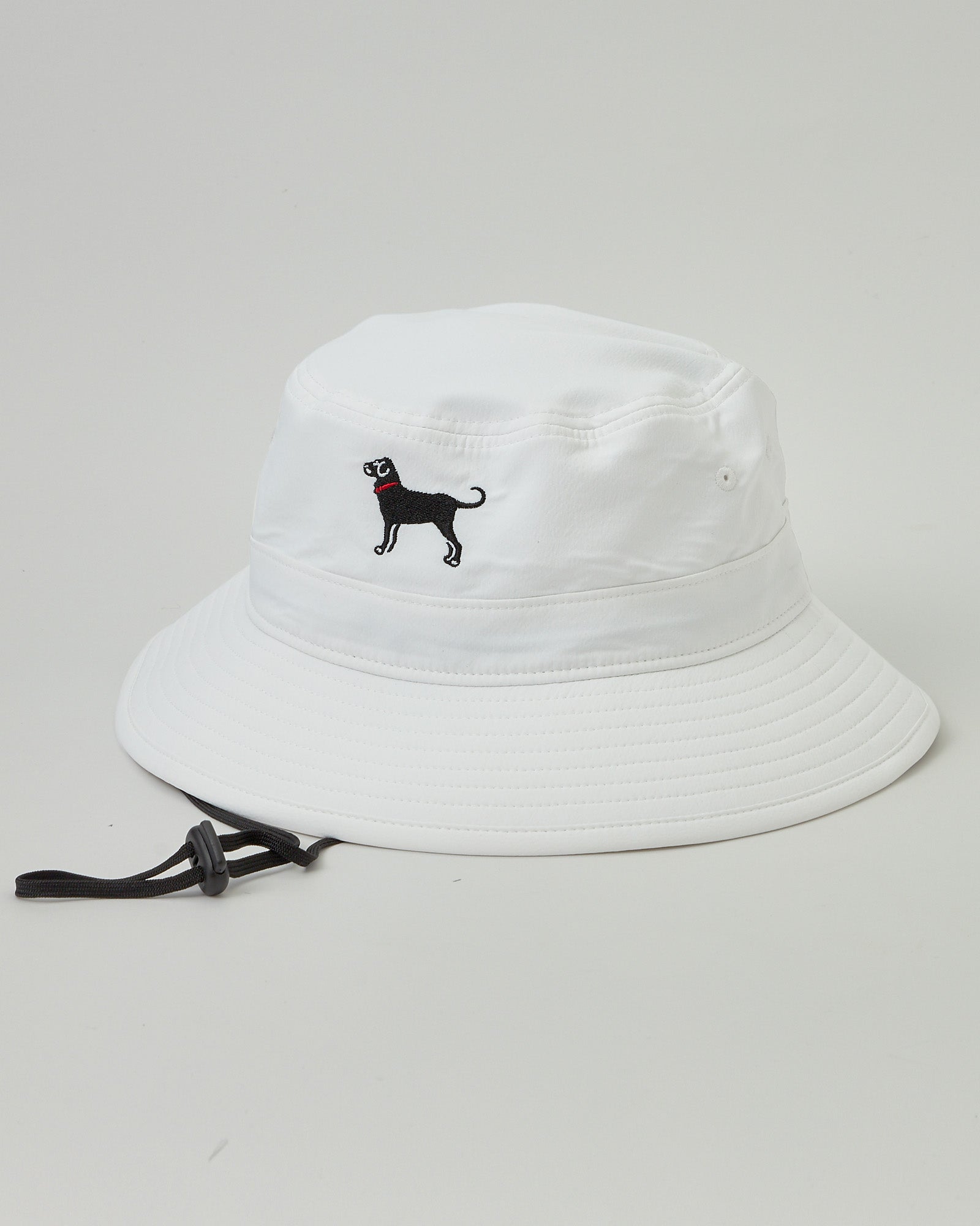 Shop Hats | The Black Dog Hat Collection