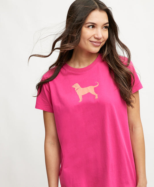 Women's T-shirts and Tops New Collection 2024