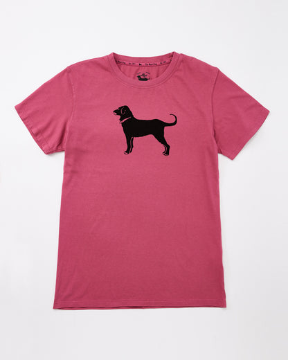 Ladies Classic MV 2026 Tee