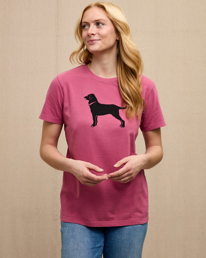 Ladies Classic MV 2026 Tee