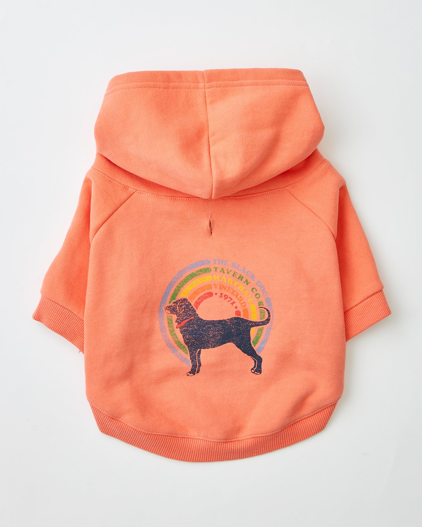 All The Colors Dog Sweatshirt (Dog)