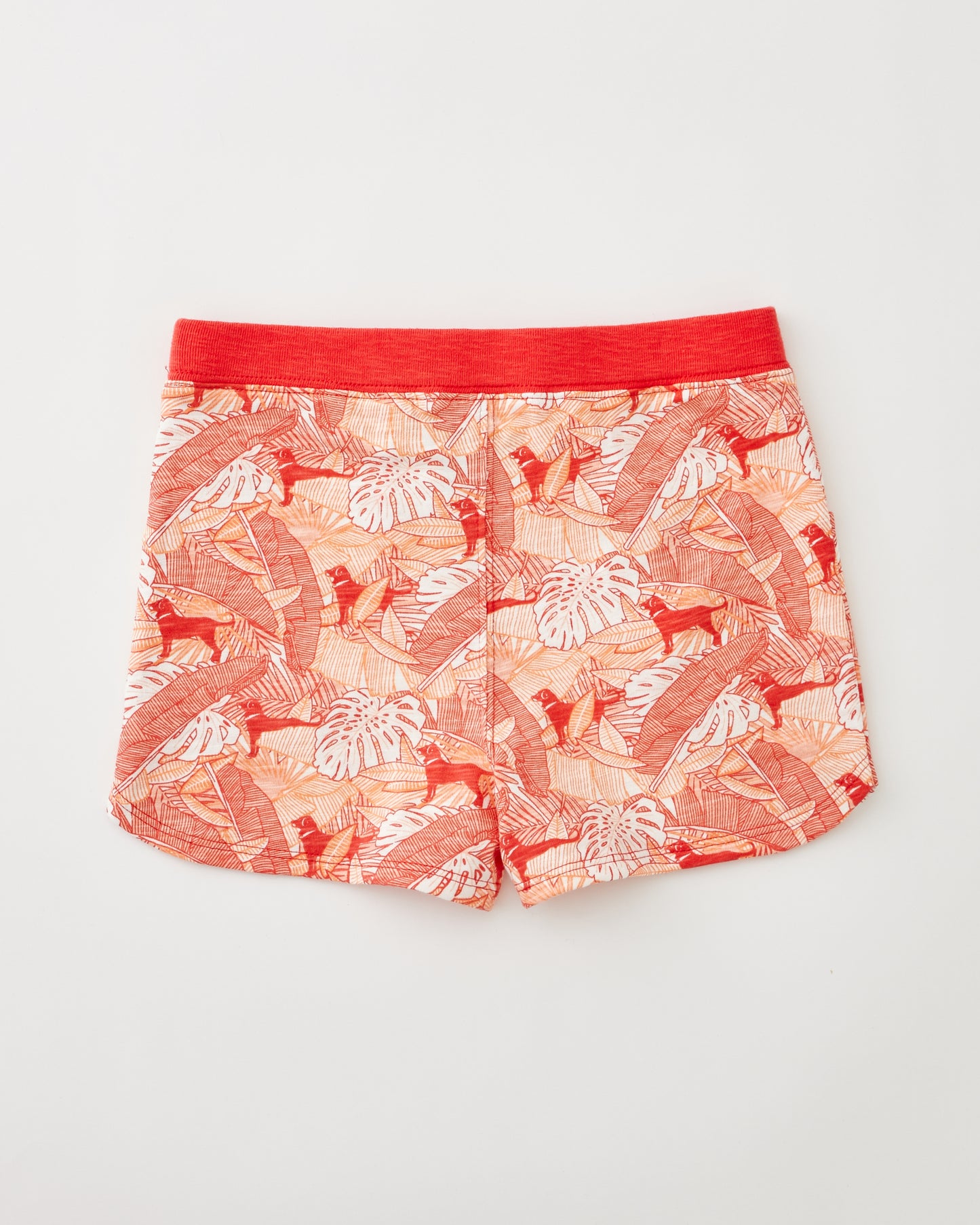 Lil Kids Tropics Knit Shorts