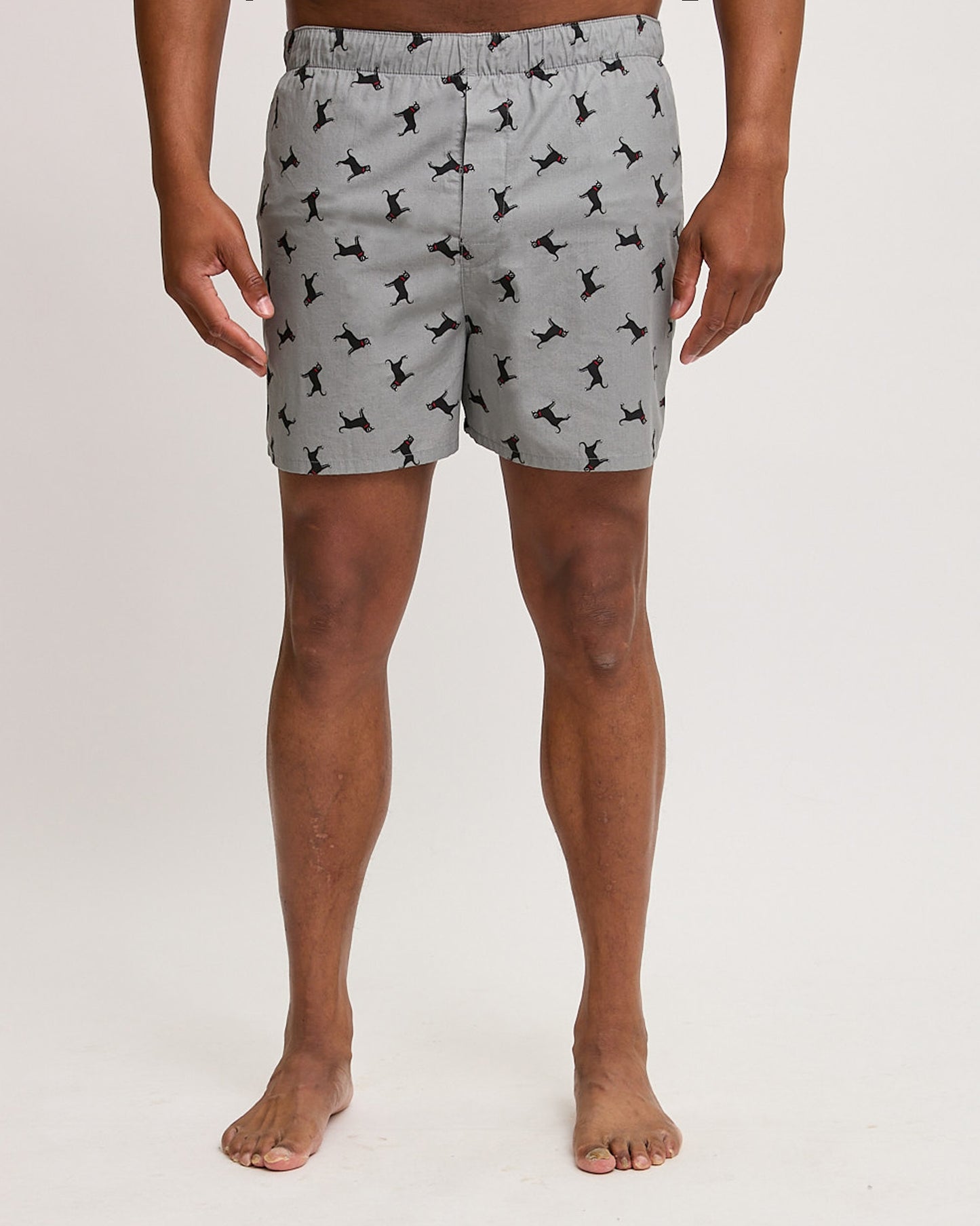 Mens Tossed Dog Woven Boxer