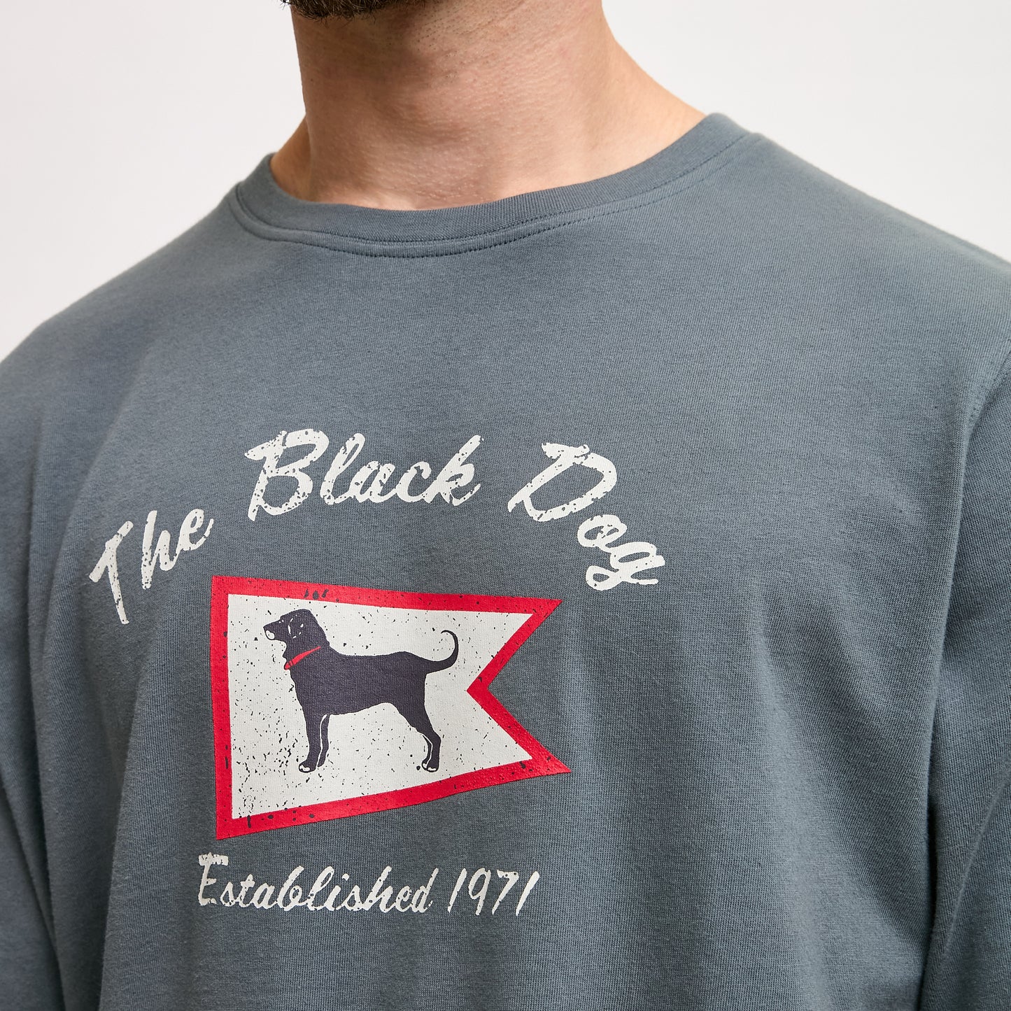 Mens Burgee Flag Classic Tee