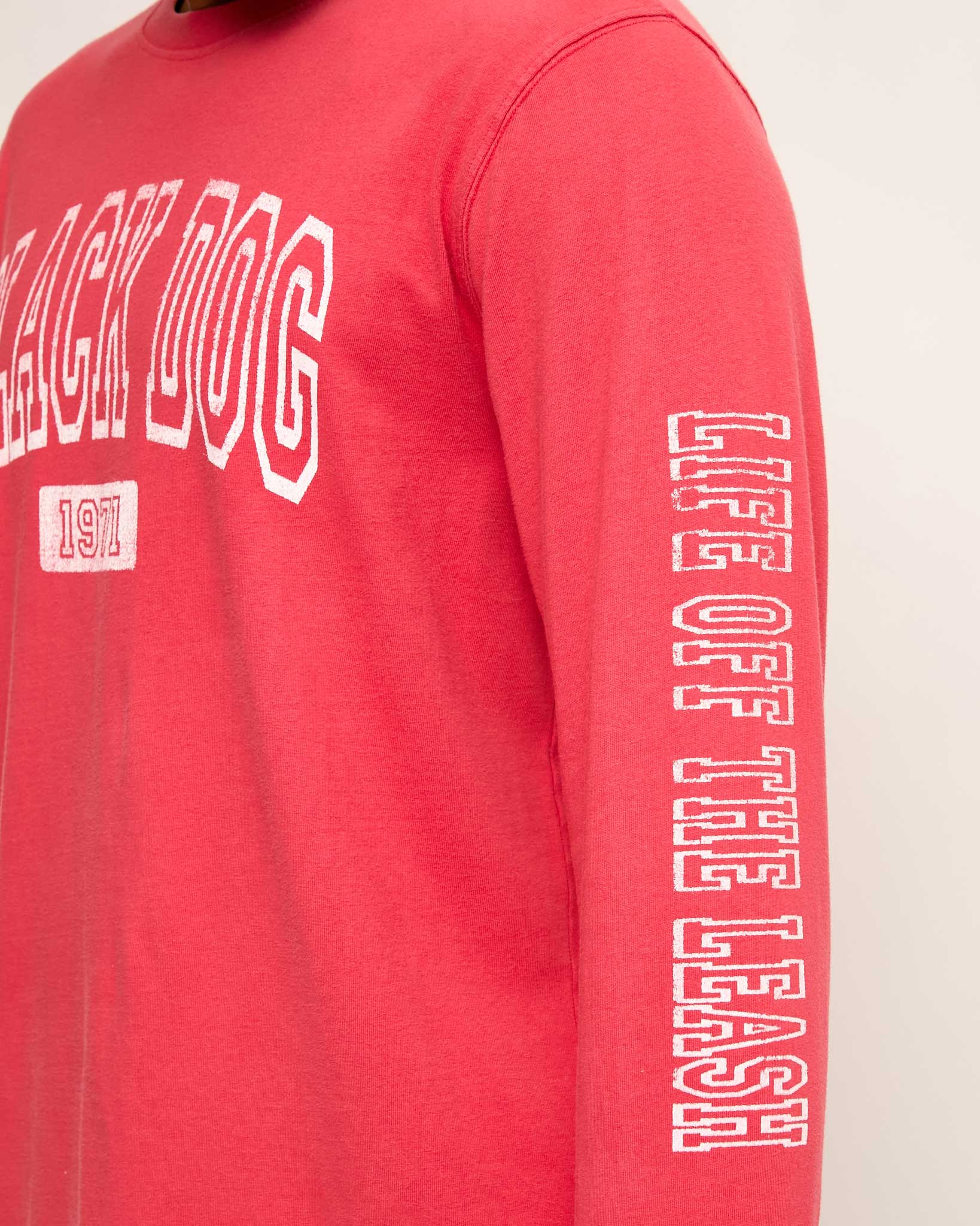 Adult Collegiate Classic Longsleeve Tee