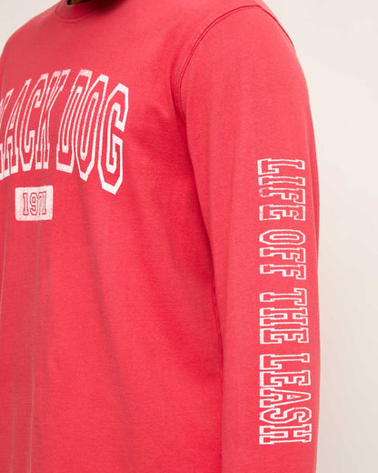 Adult Collegiate Classic Longsleeve Tee