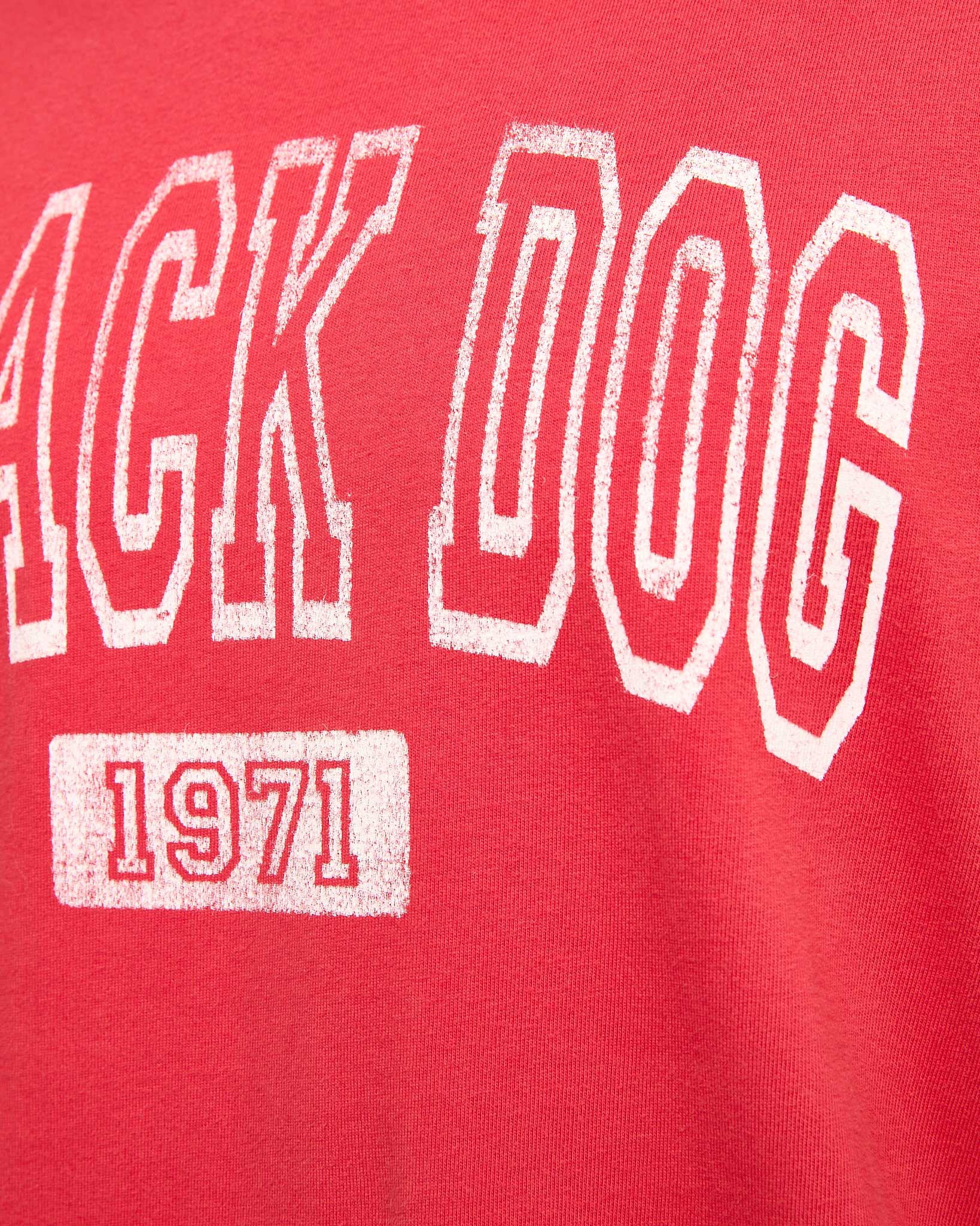 Adult Collegiate Classic Longsleeve Tee
