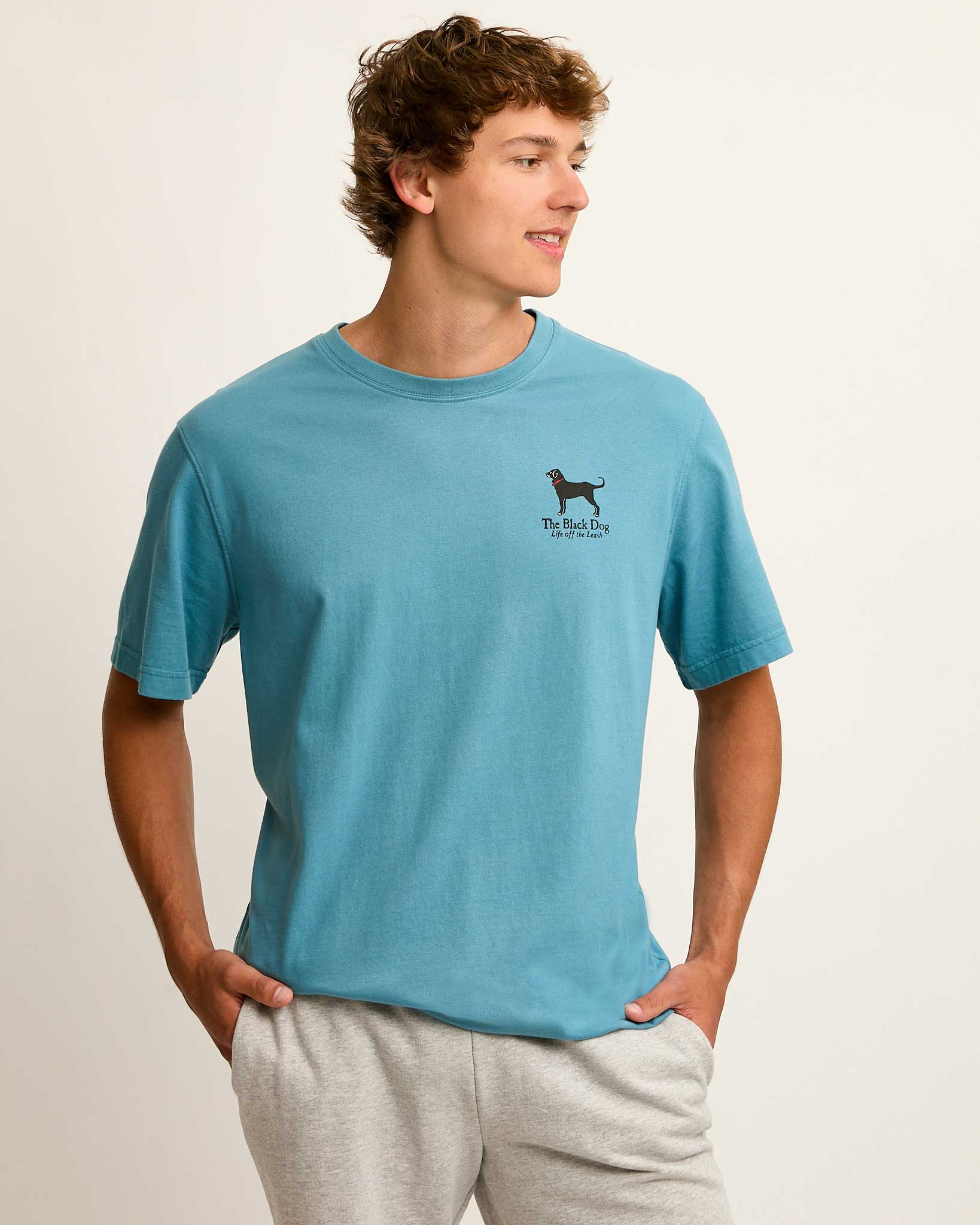 Dogs On A Dock Classic Tee