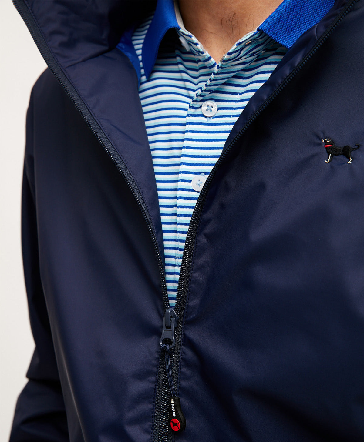 CATALOG The Black Dog